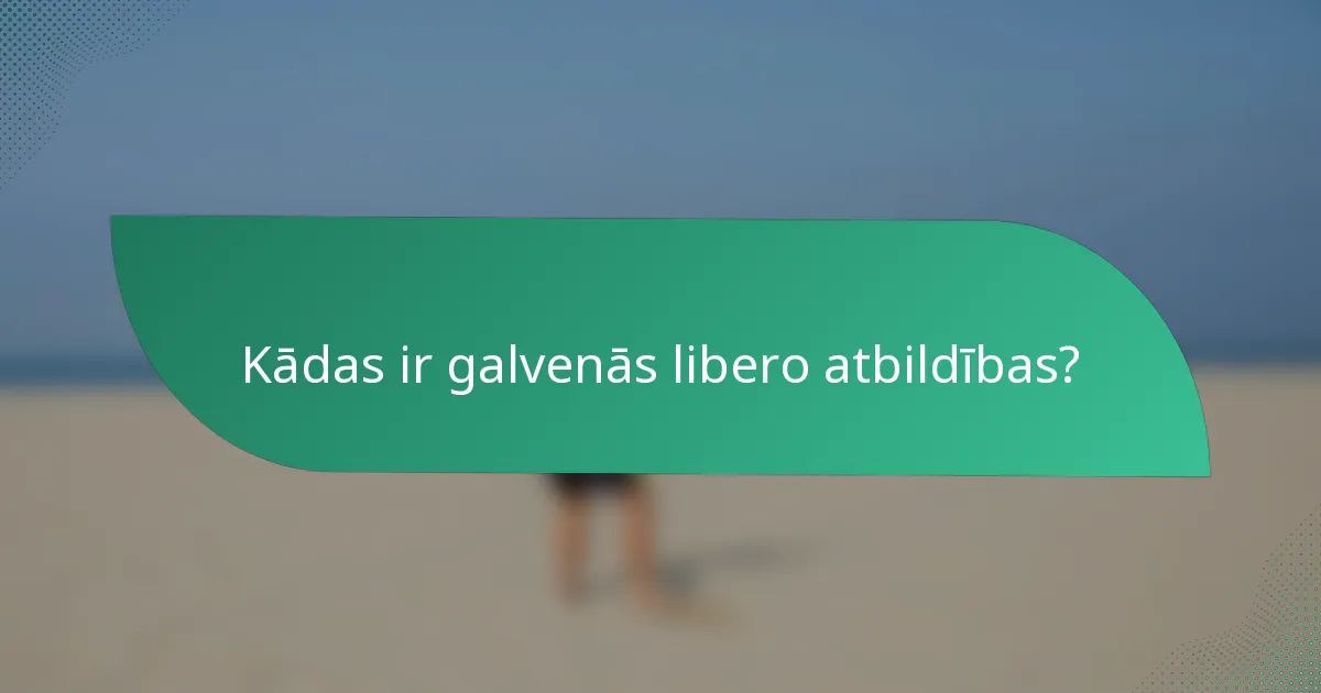 Kādas ir galvenās libero atbildības?